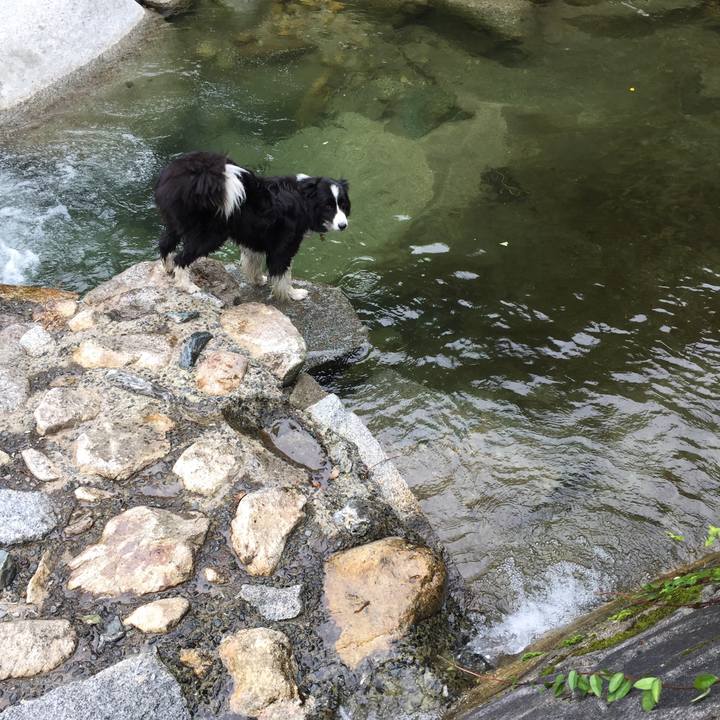 E41cd180 c4f9 48b9 bd72 f3206468bb28 1562577023433