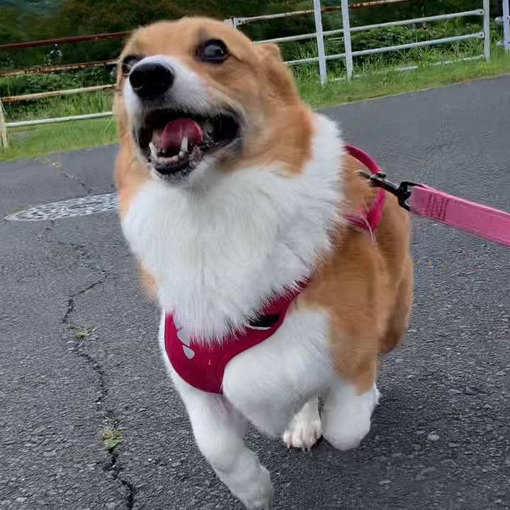 E41d1966 13dd 44c3 8601 7dff2c0d0798 1655180491017