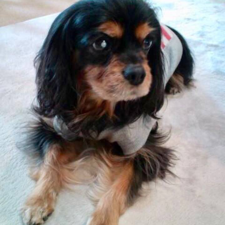 E41d4db4 7636 4d53 9316 3fc7c111dc60 1588482152640