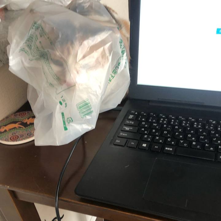 E41d7a57 e014 4aed b5d7 163010232f3a 1587095769096