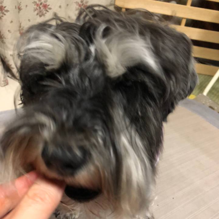 E41d7bd7 800a 438f afc2 3098bb3b3459 1618669817959