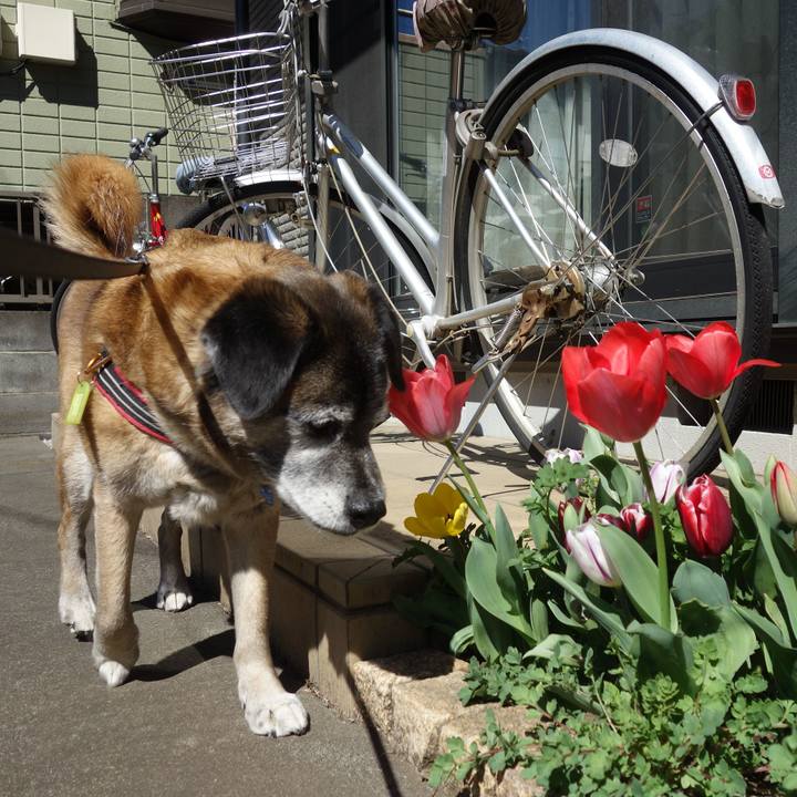 E41d8742 e759 4858 bb83 3c3c2dd565b2 1554081083168