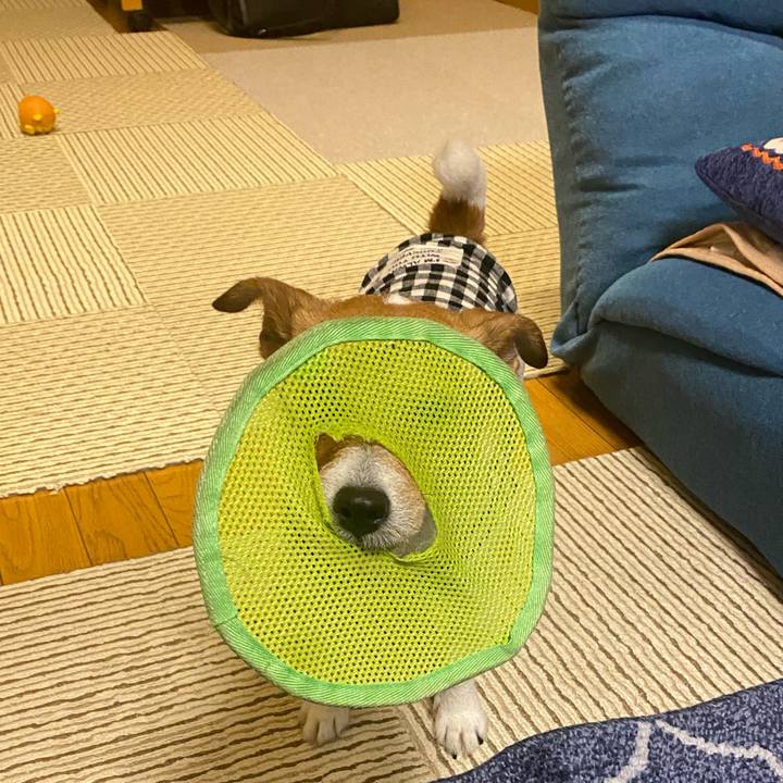 E41dfa05 0772 4925 98cd 59ee5df78593 1635811735629