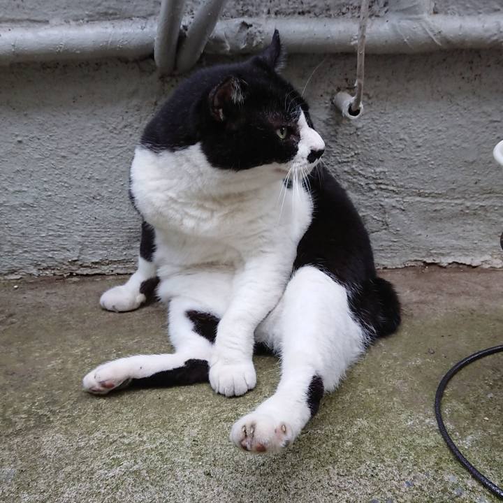 E41e0f94 677c 466a 9d38 475f5dd567ac 1664886310562