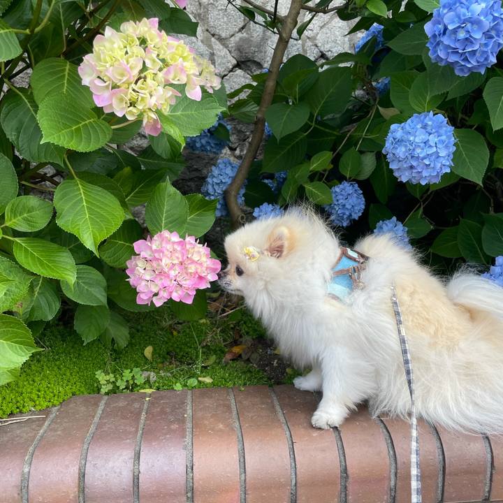 E41e35fb 3897 462e b24a 1a02e465bfea 1622029632657