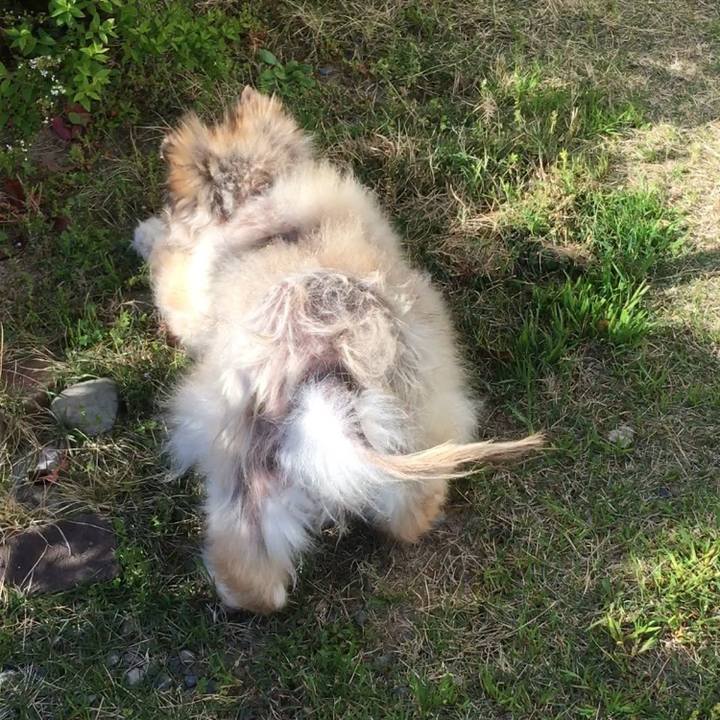 E41e3efc 9db8 46fa bbda 48d71f47d1da 1573910403420