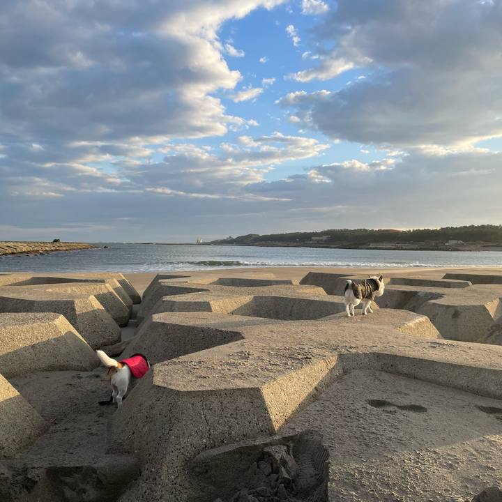 E41e4ad2 c4c2 4e31 8f08 c5088afbb5ba 1764550050307