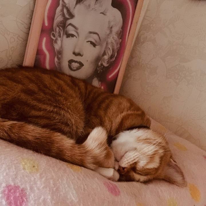 E41e4d80 7d4b 428d 9529 1ce181aca72c 1558625082763