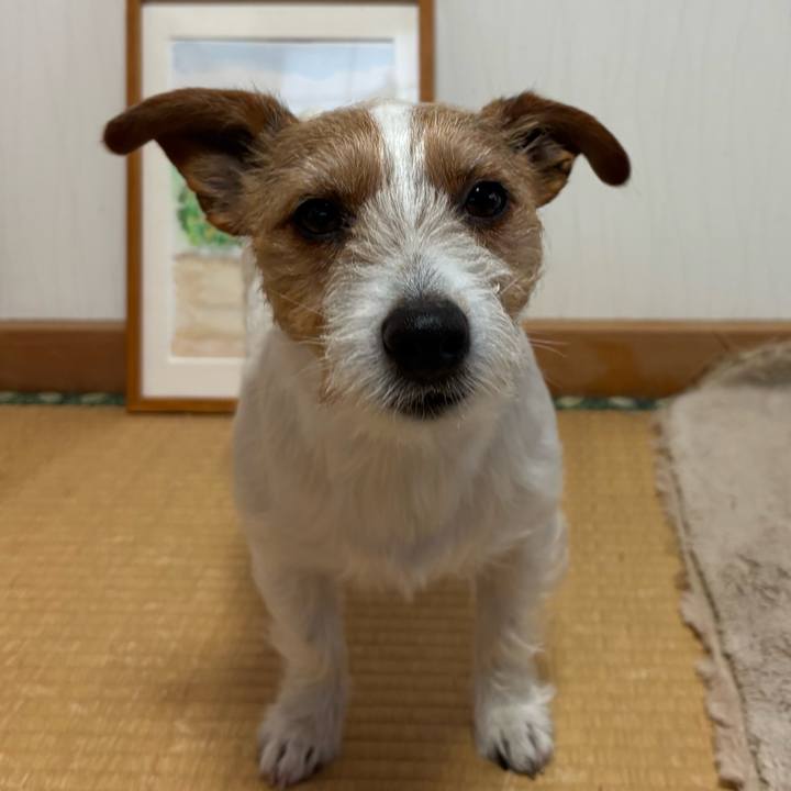 E41e71ad 9c54 490e b90c 81aaca6eb65f 1771194514244