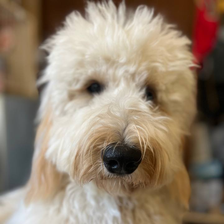 E41e8ca1 828d 461e b879 1790d2d7097a 1740628524840