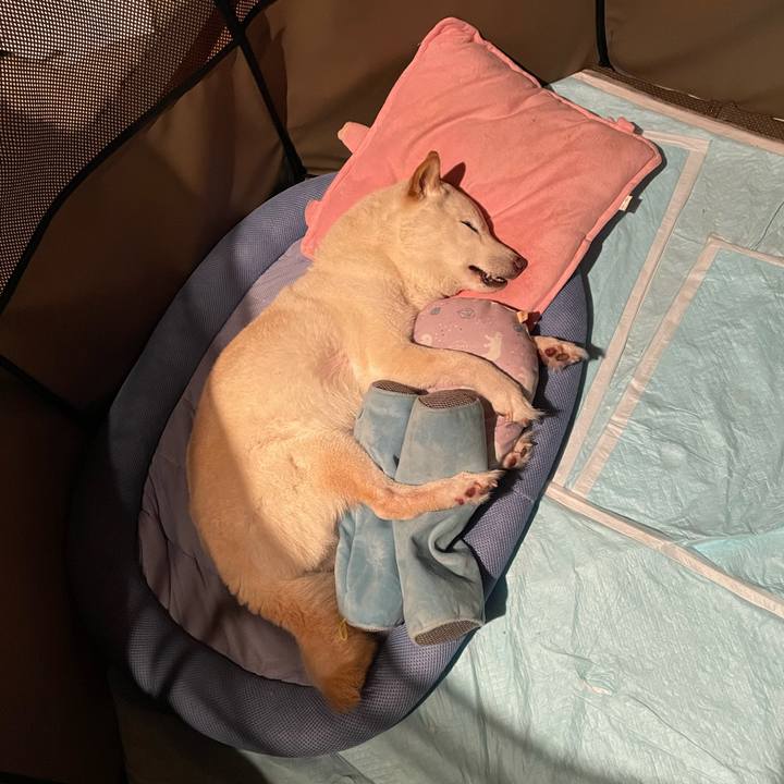 E41e95b2 a667 4c86 bce2 8862defc7078 1655310692915