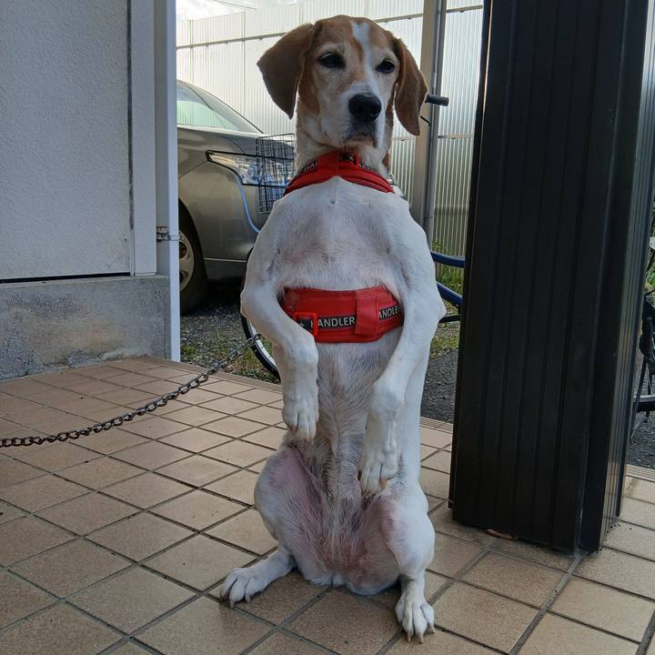 E41e9dc0 2907 40d0 a5de 0ce453fa6f62 1762166464713