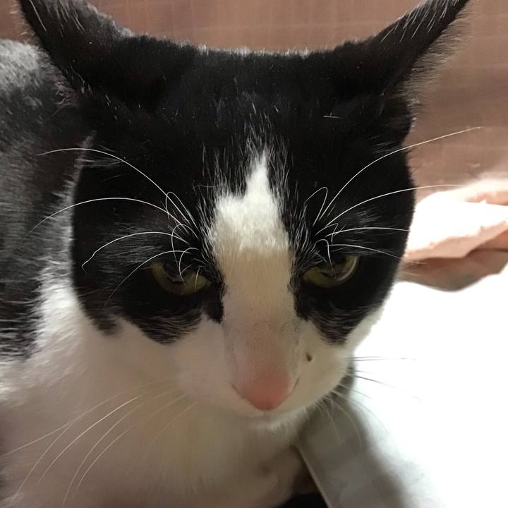 E41ed13d ab7b 4aaf 899f 8318a6ad7038 1711623138428