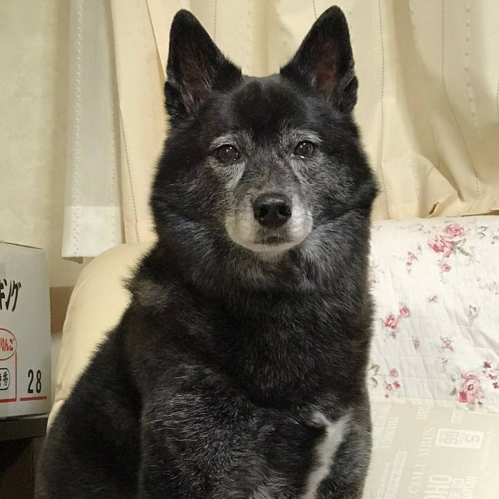 E41f57e2 5808 4719 94a1 226dcf550284 1539695236734