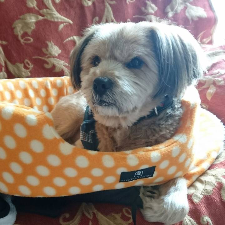 E41f7987 5b69 4eae b5a7 9b4d2bf6c8a1 1514690984507