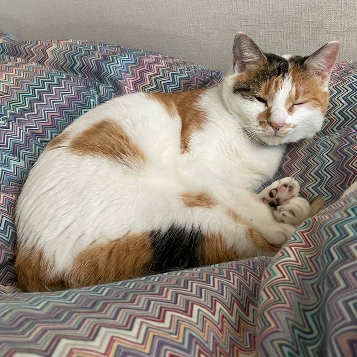 E41fabb1 9f78 46ab 809a 6db26f195851 1696980804331