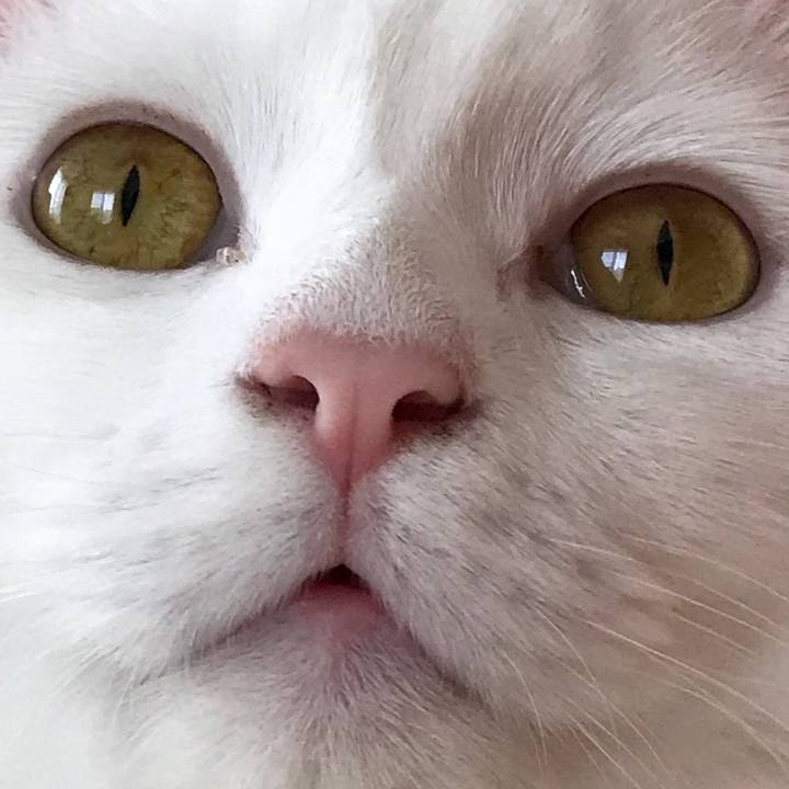 E41fd9dd 0a09 4af7 ab0c 17ba7b131de1 1524746705212