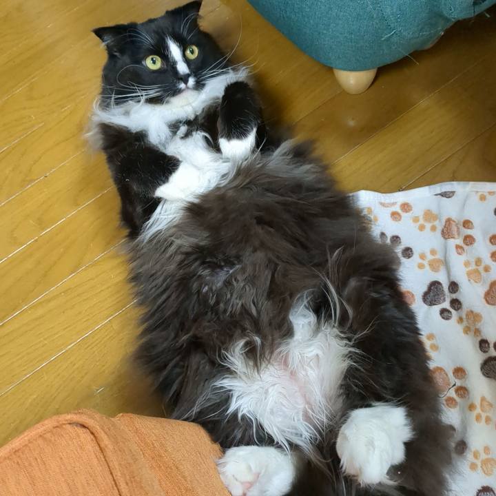 E41fee76 04db 4e9c 8c29 f49705afe999 1675074569865