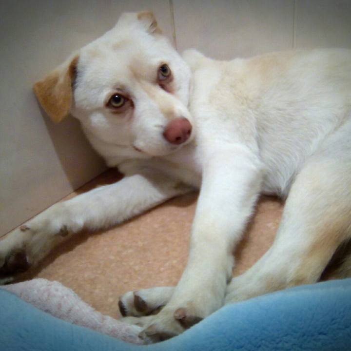 E41ff456 55bc 4fb9 b8f3 319b0f11a901 1512831395491