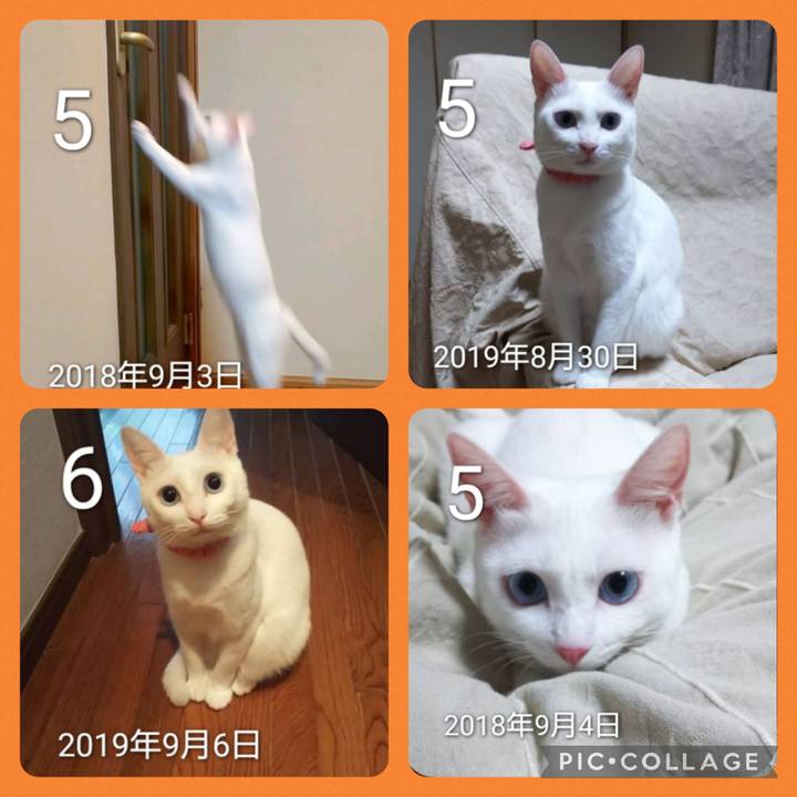 E42004e7 fdc3 4758 8a1d 23338c826211 1693978000399
