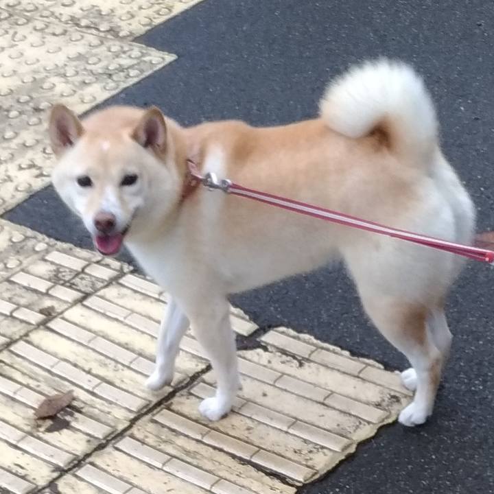 E42006a1 951e 4213 b545 7c981f0a48ed 1602374679261