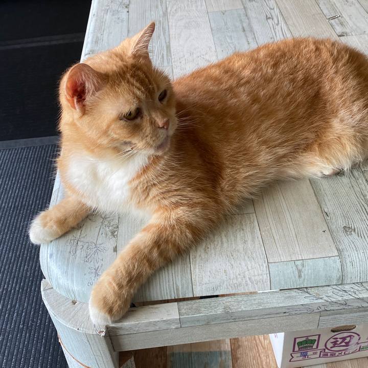 E4205679 1487 4f85 9448 2886f329d353 1596288380549