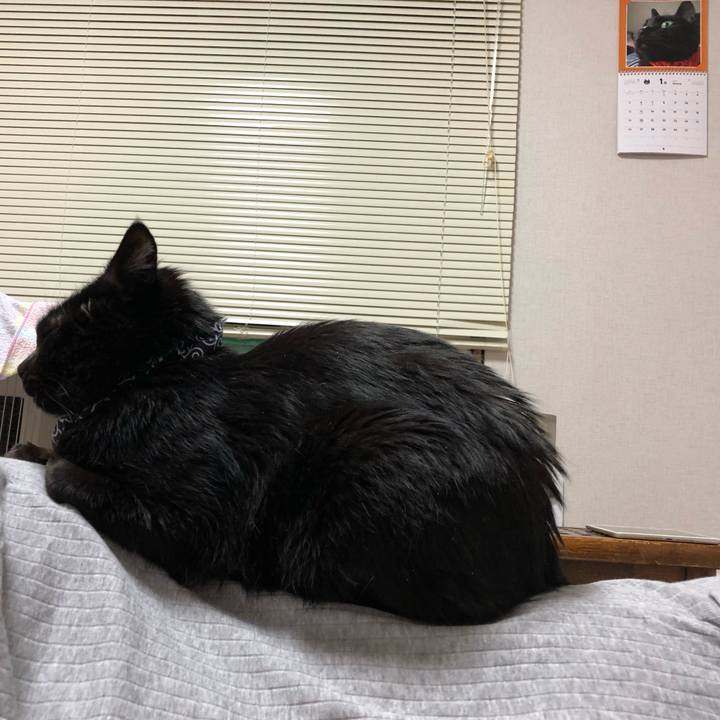 E4207d0b 7742 4a46 9db8 6df8dff45175 1579123452647