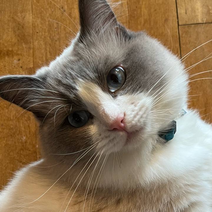 E4207de1 cb05 4449 9241 16734518556f 1653625184436