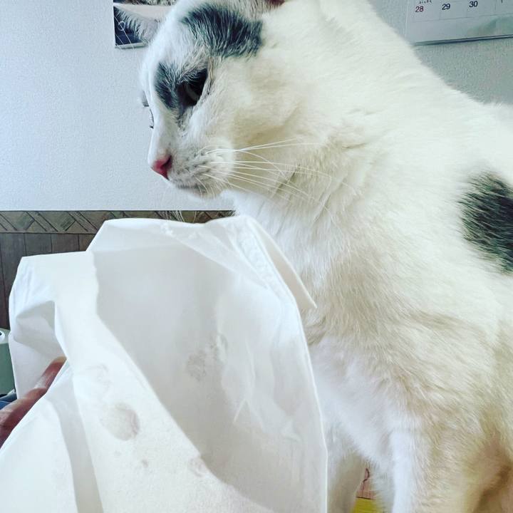 E4209386 c04f 4469 9df8 a0826075c3f4 1638347551568