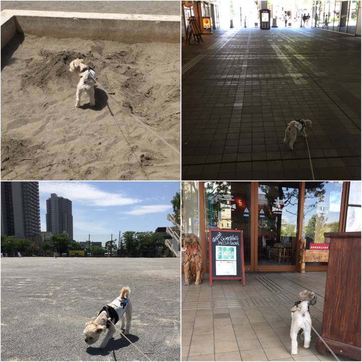 E420defb 110d 429e a415 97dbe32a6d92 1525583329601