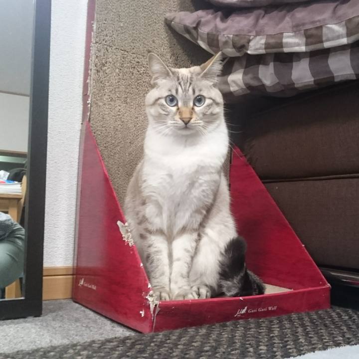 E420e108 5f16 460e a6c7 d314c3835720 1509175968103