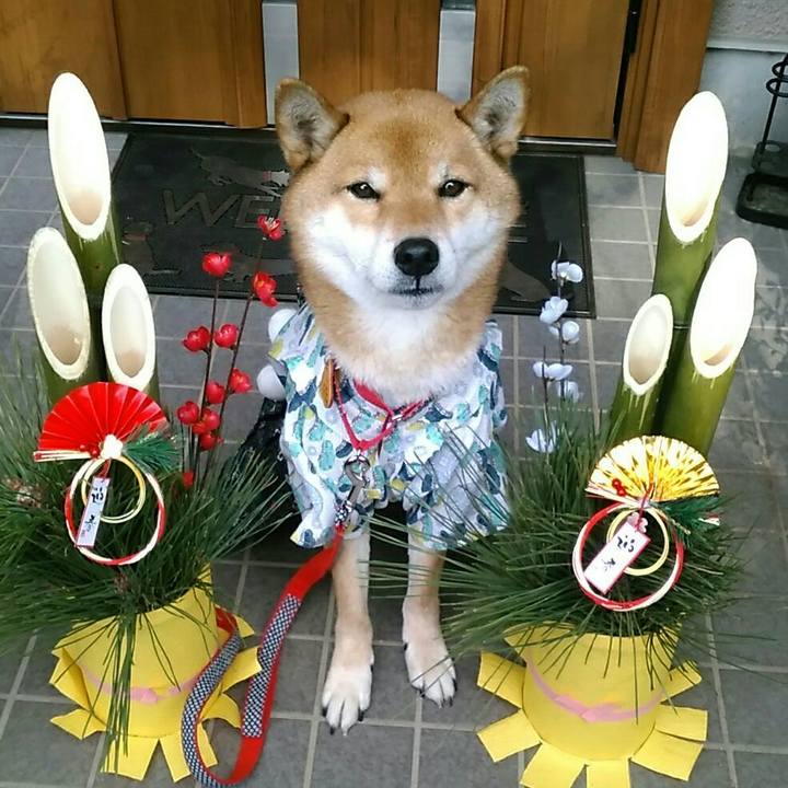 E420e191 f218 49b2 a786 b5690d8db5e2 1546268438252