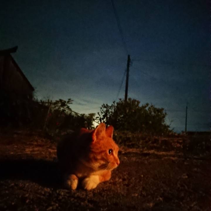 E4212cd5 4d1f 4ca5 abeb b1e6e7172be4 1602492923856