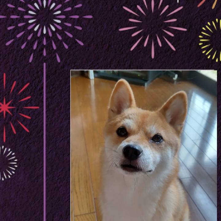 E4213978 2791 4cf8 ba8f 0030166d7f9e 1692348795310