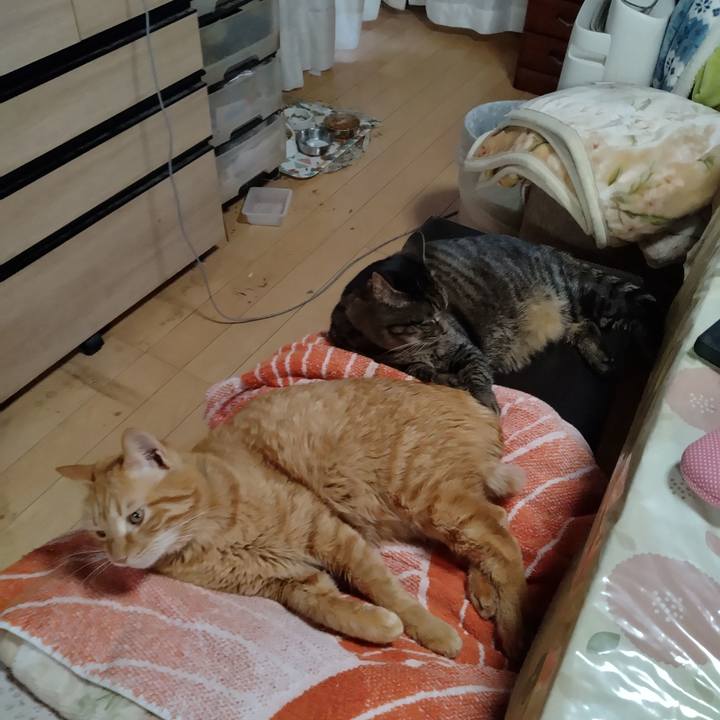 E4215a30 2dba 4c83 8630 74de58afc8f4 1740645465379