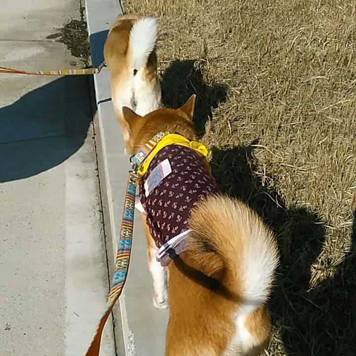 E42163dd 2c93 44c5 a963 96dcfb8fc18c 1579412811350