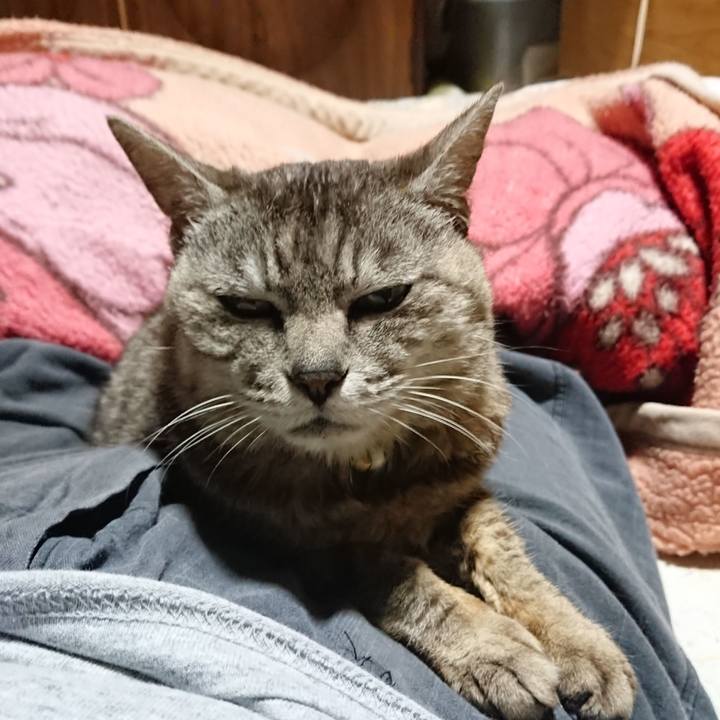 E421bf4d 5a8b 479c b2fa eeae86aeff02 1562847879614