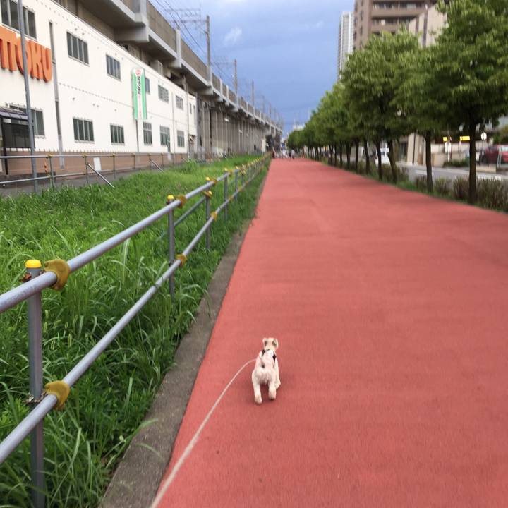 E421c9f4 8add 44da abad f2534364e31c 1534413872435