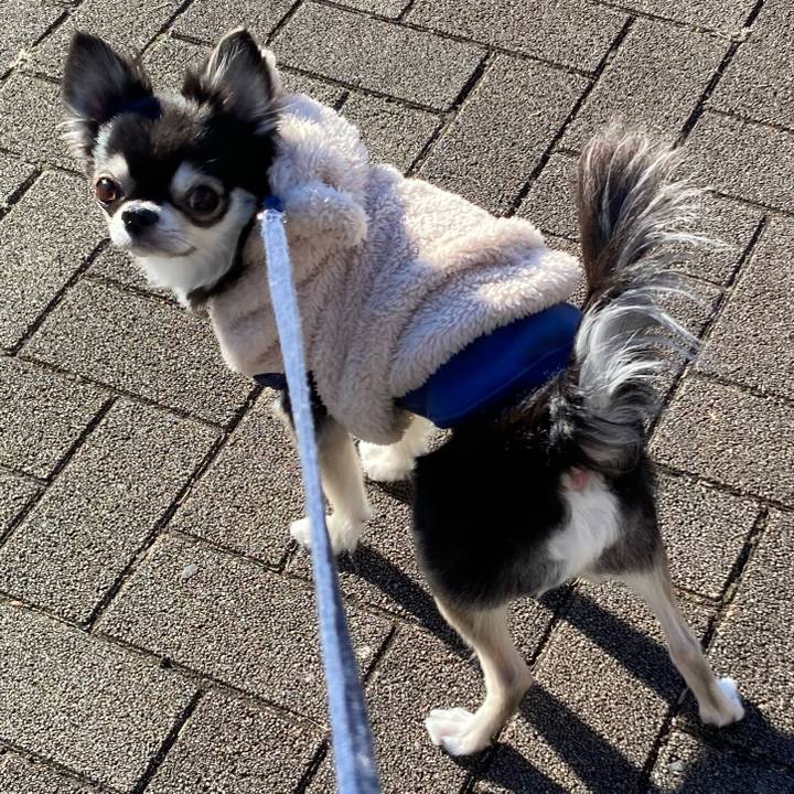 E421db4b b511 4106 bd8f 81bfa95203c5 1672585924818