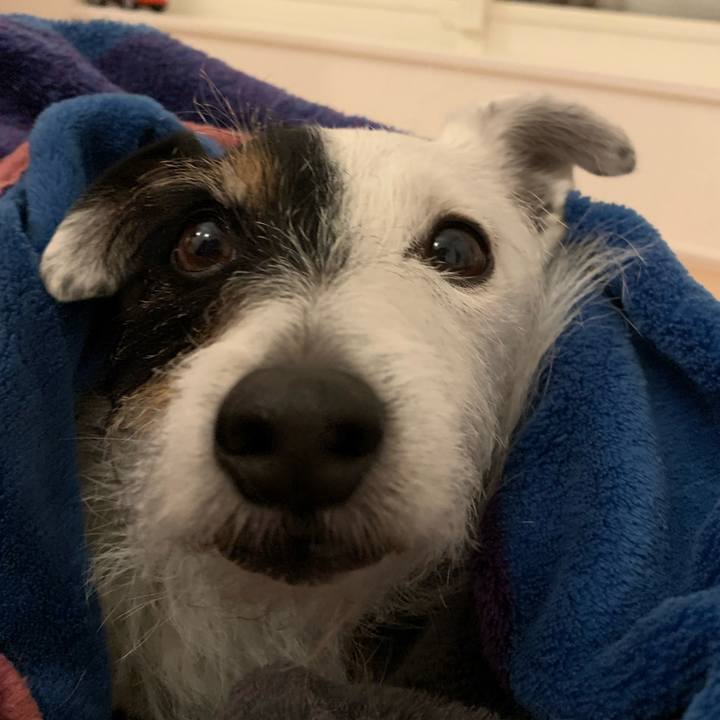 E421e600 3197 4de8 a44f daa9c3908b62 1712833136005