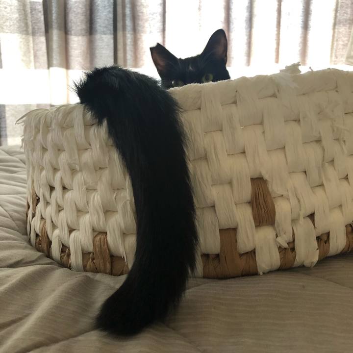 E421fb6c 1468 4bbe b2c7 ab2969992752 1564791088467