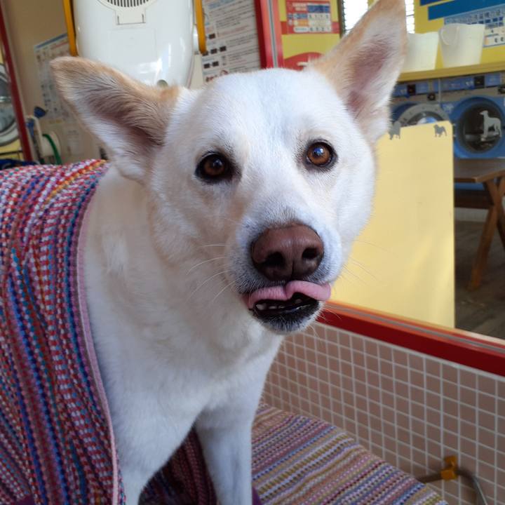 E4220b6c c12d 4181 b313 95711c23e5e5 1673176799523