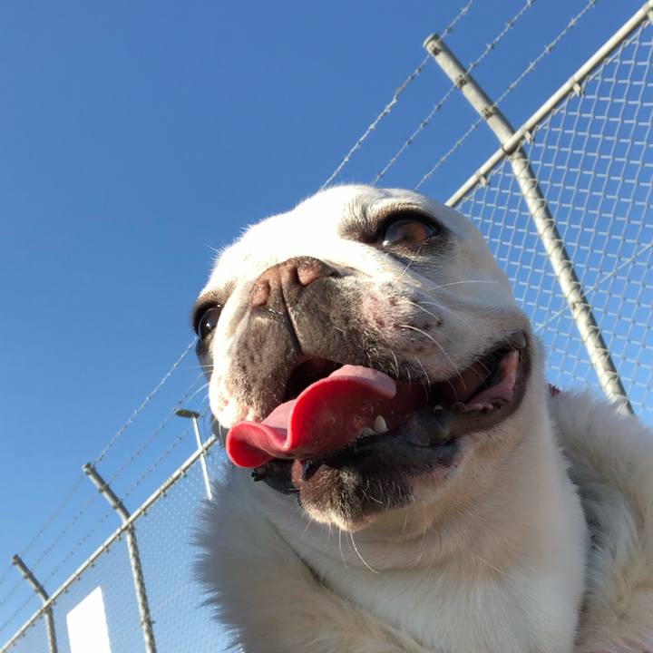 E4222e70 9f47 4079 97cc 591e2d2afe75 1547966360761