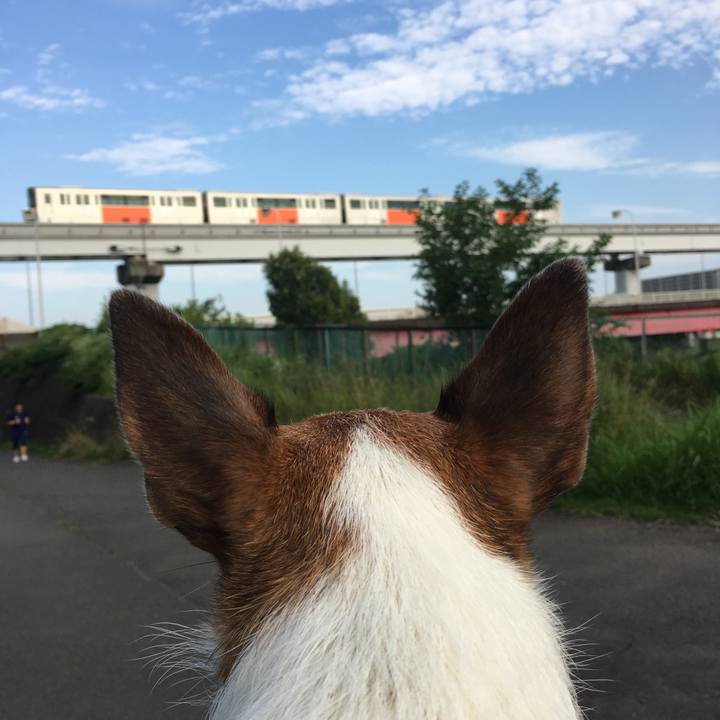 E4224c62 d79f 417d 854f 2b7bfd6fe737 1626501627285