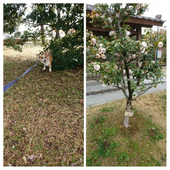 E4226f0e 0df1 498a ac6a c3c620b5e27f 1585626049804