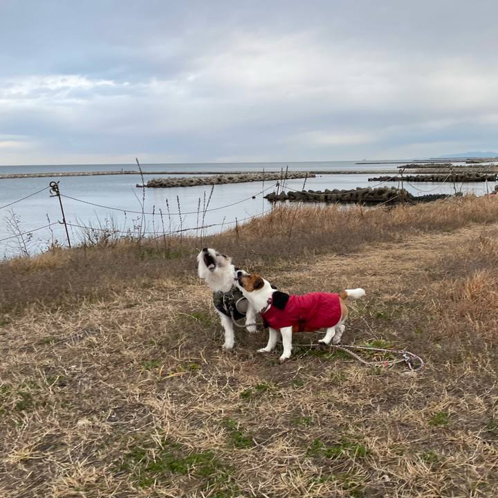 E422aa4d 2861 413d 887b 981d2d5d6f37 1670888031164