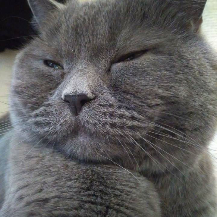 E422ab7c 46cb 4916 b41c 824373bdf3fa 1592366280175