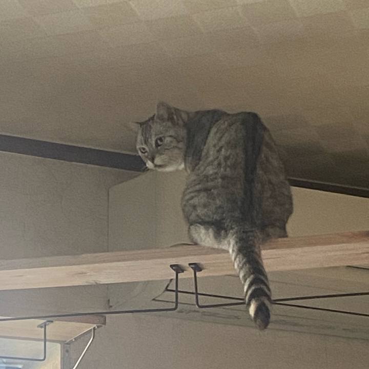 E422d9e4 ae4e 4ad6 8687 4612851faa75 1720082586847