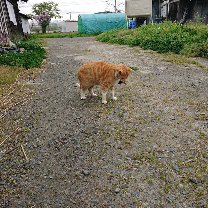 E422e6b7 cf75 45a3 976d 3cff91278bae 1588738207537