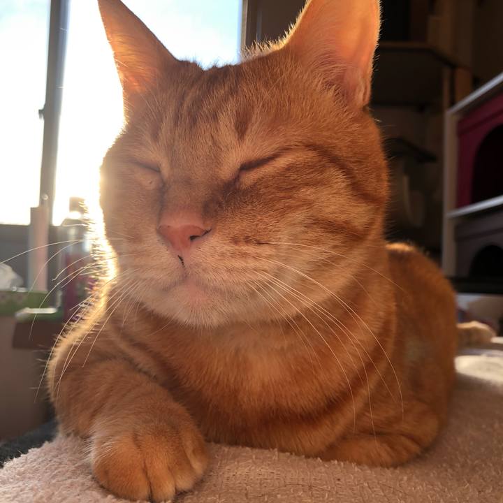 E42321ab 5931 4e53 96d6 3dbd9b35c498 1618952120064